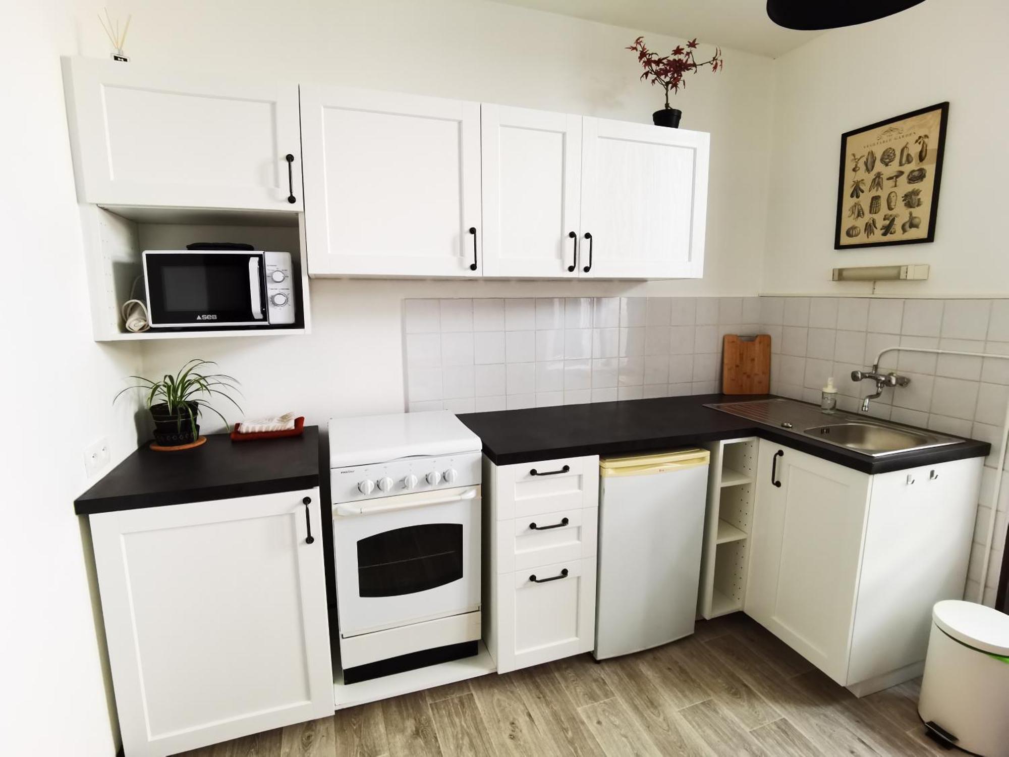 Ferienwohnung Les Camelias Le Mont-Dore Exterior foto