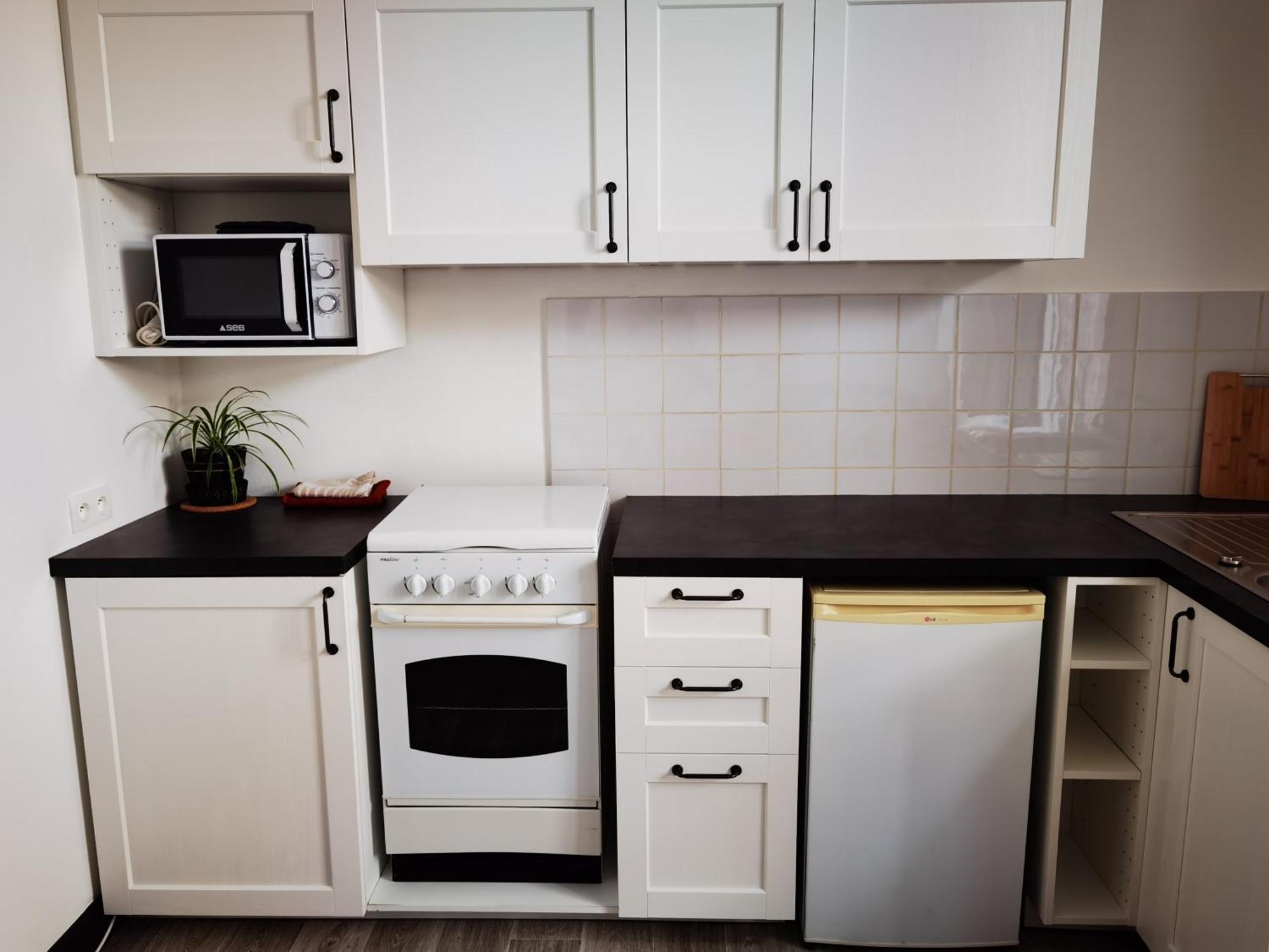 Ferienwohnung Les Camelias Le Mont-Dore Exterior foto